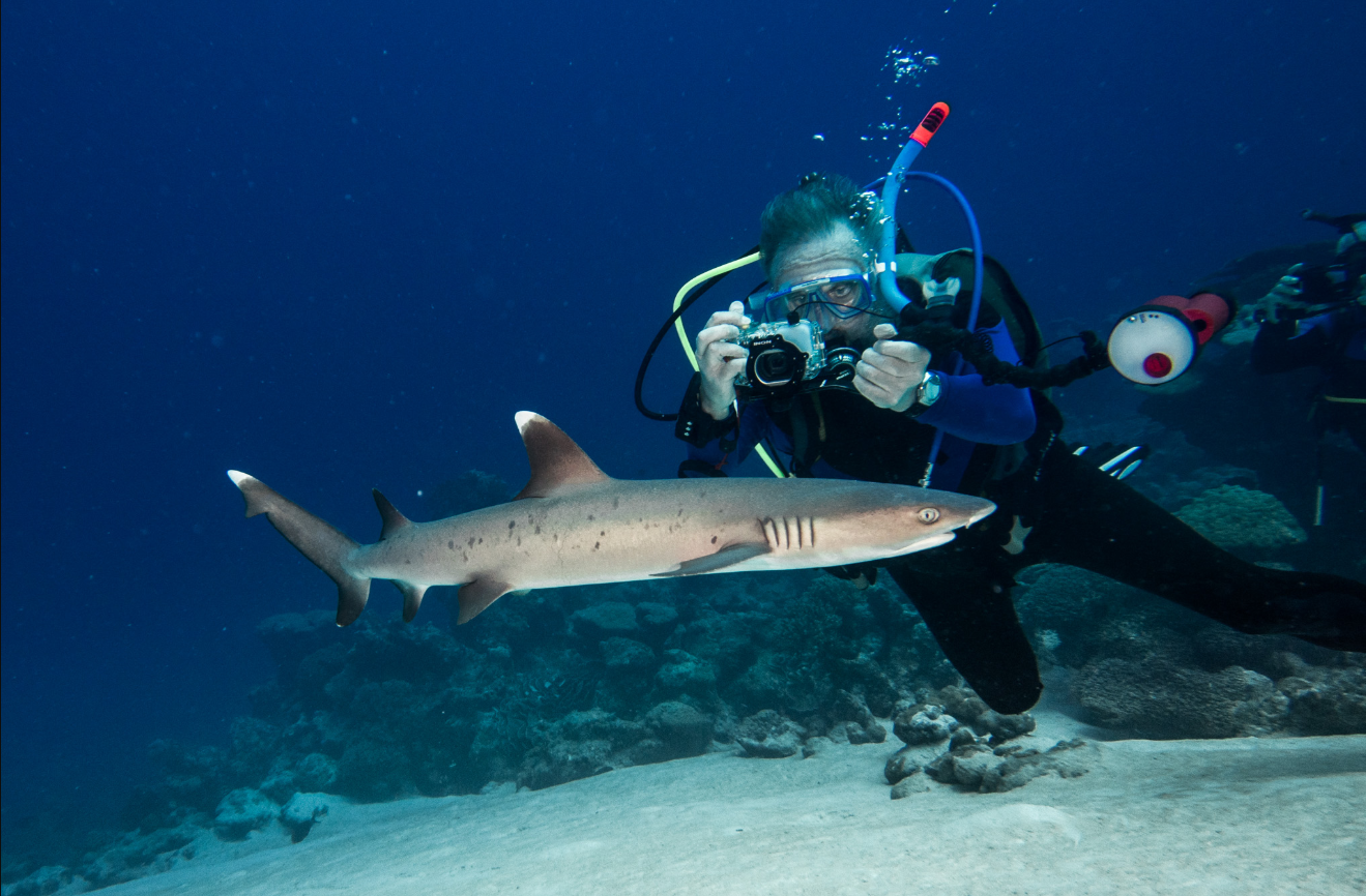 Coco (Keeling) Islands Diving